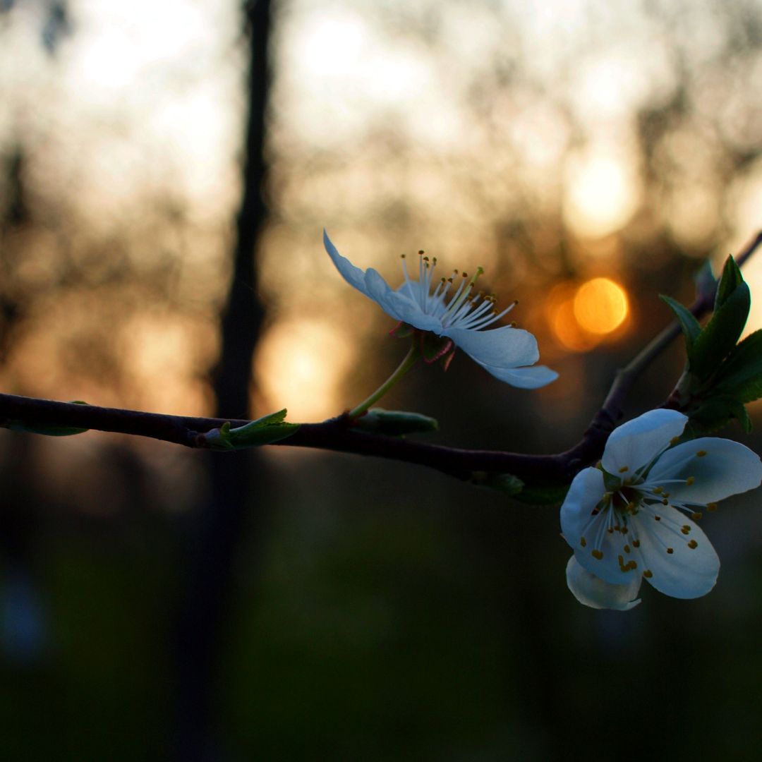 Aprile in studio. Stagione di rinascita e progetto