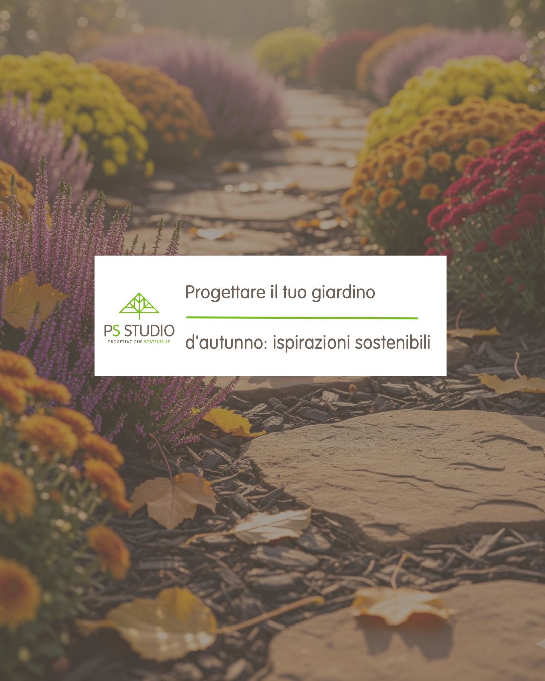 Contenuti Settembre Ott PSstudio e Humami 2025